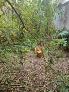 Lote/Terreno à venda, 138m² no Jardim Pinheiro, Poá