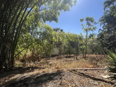 Fazenda/Sítio com 3 Quartos à venda, 169m² no Abadiânia, Abadiânia