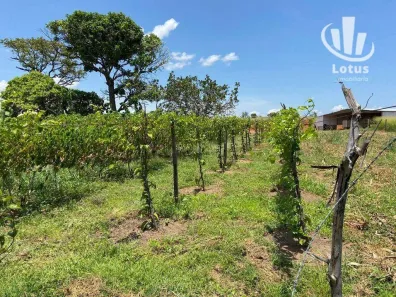 Fazenda/Sítio à venda, 4680000m² no Centro, Bonfim