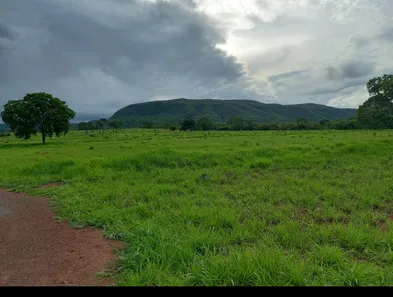 Fazenda/Sítio à venda no , Buritis