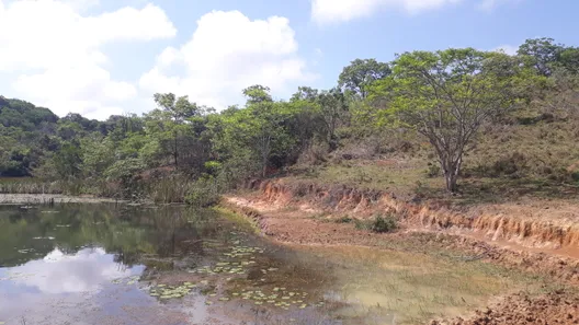 Lote/Terreno à venda, 20000m² no , Araçaí