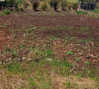 Lote/Terreno à venda, 420m² no Dos Boêmios, Nova Petrópolis