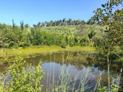 Fazenda/Sítio com 3 Quartos à venda, 1890000m² no , Coroatá