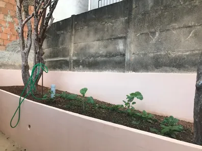 Casa com 1 Quarto para alugar, 60m² no Maria Virgínia, Belo Horizonte