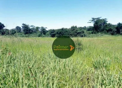 Fazenda/Sítio à venda, 5953200m² no , Niquelândia