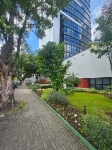 Sala Comercial para alugar, 33m² no Boa Vista, Recife