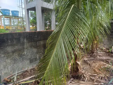 Lote/Terreno à venda, 330m² no Flores, Manaus