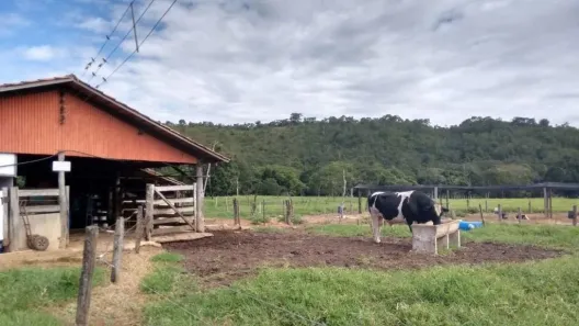 Fazenda/Sítio com 4 Quartos à venda, 1137400m² no , 