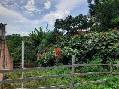 Lote/Terreno à venda, 600m² no Tarumã, Manaus