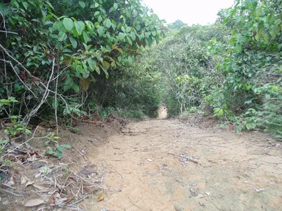 Lote/Terreno à venda, 230000m² no Puraquequara, Manaus