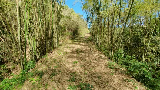Fazenda/Sítio com 4 Quartos à venda, 450m² no Recanto dos Paratis, Casimiro de Abreu