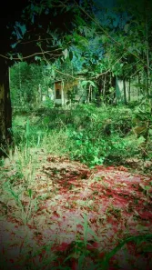 Fazenda/Sítio com 1 Quarto à venda, 6000m² no Pitangas, Tanguá
