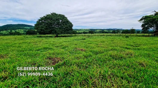 Fazenda/Sítio à venda, 968000m² no Área Rural, Goianira