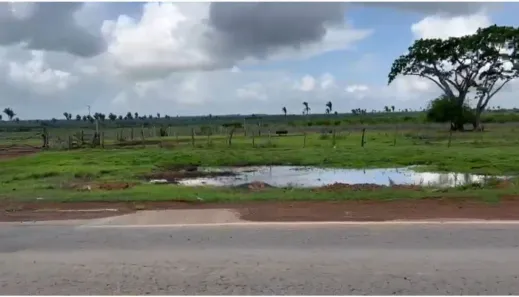 Fazenda/Sítio à venda, 6000m² no Zona Rural, Coroatá