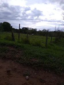 Fazenda/Sítio à venda, 49000m² no Área Rural de Valparaíso de Goiás, Valparaíso de Goiás