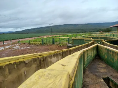 Fazenda/Sítio com 4 Quartos à venda, 1897m² no , Niquelândia