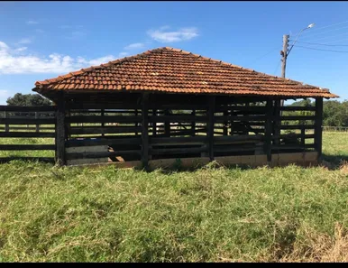 Fazenda/Sítio à venda no , Buritis