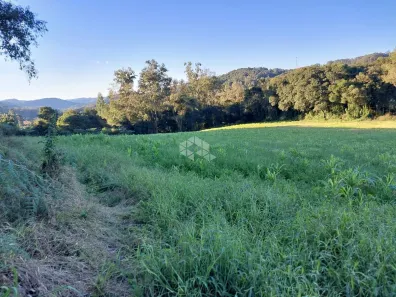 Fazenda/Sítio com 1 Quarto à venda, 20000m² no Monte Verde, Farroupilha