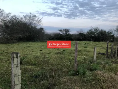Lote/Terreno à venda, 70000m² no Nova Santa Rita, Nova Santa Rita