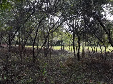 Lote/Terreno à venda, 20000m² no , Araçaí