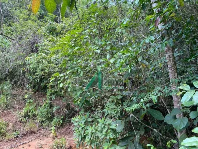 Fazenda/Sítio com 4 Quartos para venda ou aluguel, 1000m² no CIDADE NOVA II, Juatuba