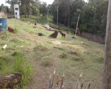 Lote/Terreno à venda, 10280m² no Cassange, Salvador