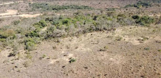 Lote/Terreno à venda, 20000m² no , Cordisburgo