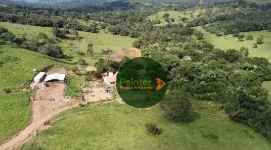 Fazenda/Sítio à venda, 580800m² no , Silvânia