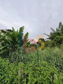 Lote/Terreno à venda, 488m² no Mundai, 