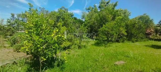Lote/Terreno à venda, 440m² no Centro, Vera Cruz