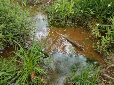 Lote/Terreno à venda, 20000m² no , Fortuna de Minas