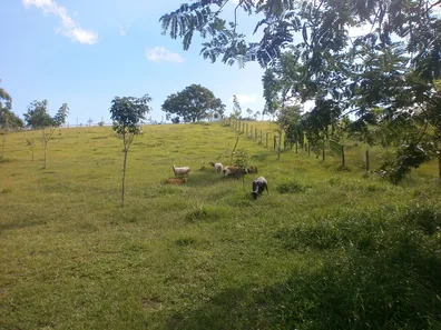 Fazenda/Sítio à venda, 14700m² no Centro, Tanguá