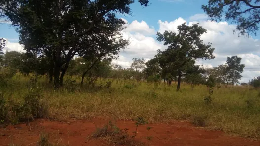 Lote/Terreno à venda, 20000m² no Zona Rural, Paraopeba