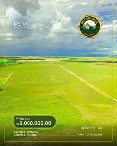 Fazenda/Sítio com 1 Quarto à venda, 625000m² no , Bonfim