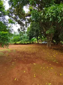 Fazenda/Sítio à venda, 23000m² no Condomínio Mestre D'Armas, Brasília