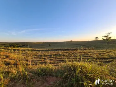 Fazenda/Sítio com 3 Quartos à venda, 10000m² no , Cafelândia