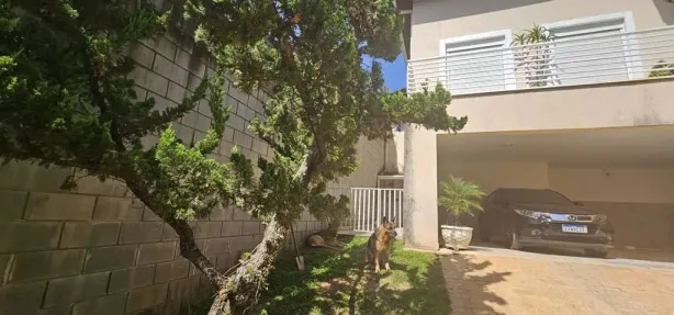 Fazenda/Sítio com 3 Quartos à venda, 358m² no Chácara Vale do Rio Cotia, Carapicuíba