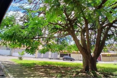 Sobrado com 4 Quartos à venda, 250m² no Samambaia Norte, Brasília