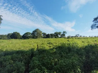 Fazenda/Sítio à venda, 134500m² no Setor Central, Guapó