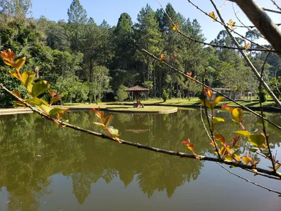 Fazenda/Sítio com 3 Quartos para alugar, 200m² no Centro, São Lourenço da Serra