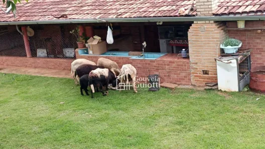 Fazenda/Sítio à venda, 193600m² no , Leopoldo de Bulhões