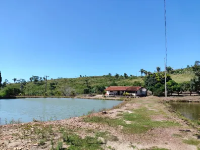 Fazenda/Sítio com 3 Quartos à venda, 1890000m² no , Coroatá
