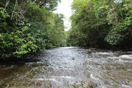 Lote/Terreno à venda, 200000m² no , Presidente Figueiredo