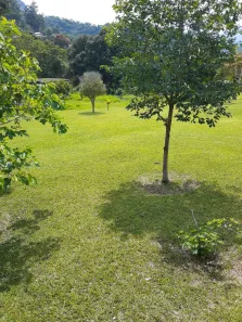 Fazenda/Sítio com 3 Quartos à venda, 200m² no Corrêas, Petrópolis