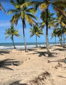 Lote/Terreno à venda, 379m² no Mogiquiçaba, Belmonte