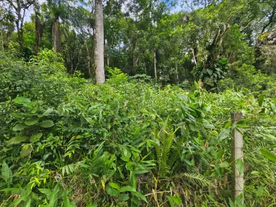 Lote/Terreno à venda, 2400m² no Antonina, Antonina