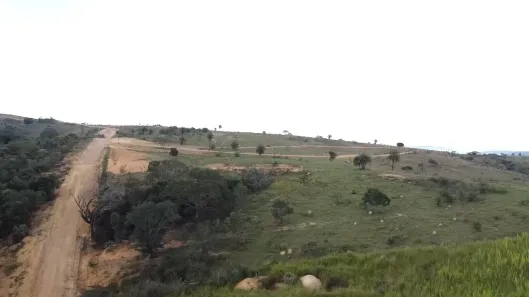 Lote/Terreno à venda, 20000m² no , Cordisburgo