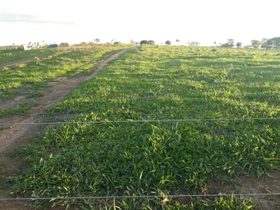 Lote/Terreno à venda, 20000m² no , Araçaí