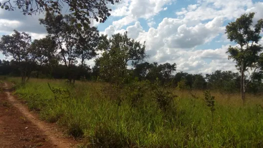 Lote/Terreno à venda, 20000m² no Zona Rural, Paraopeba