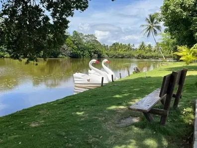 Casa com 4 Quartos à venda, 200m² no Praia de Tairu, Vera Cruz